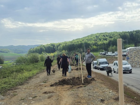 Ob dnevu zemlje sadili lipe (3)